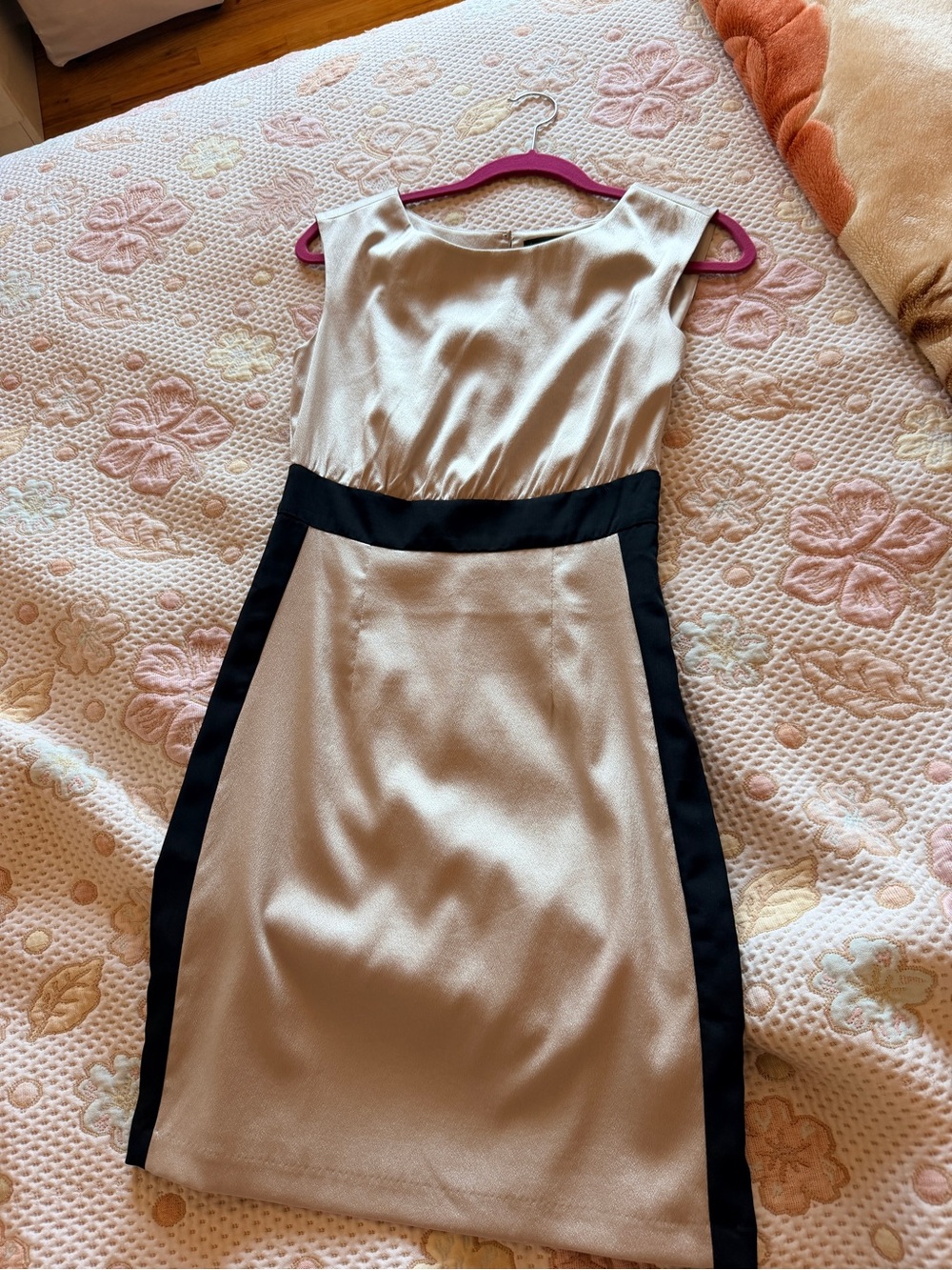 The Limited Cream Sheath Dress with Black Trim